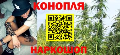 МДПВ Рыбинск