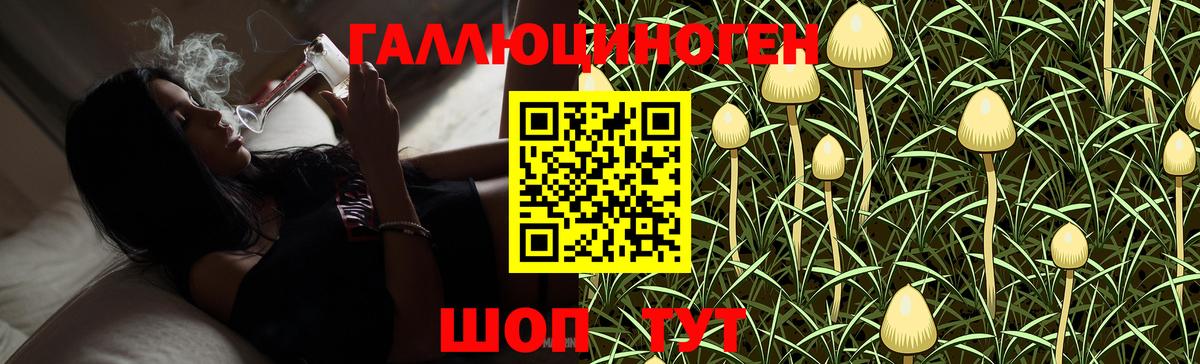 Галлюциногенные грибы MAGIC MUSHROOMS  где можно купить наркотик  Нурлат  Вход с VPN 