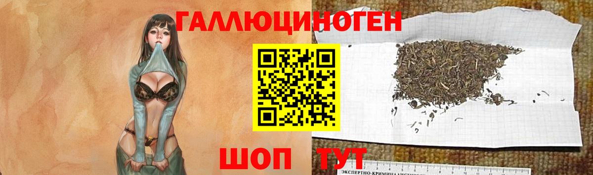 Галлюциногенные грибы мухоморы Нурлат